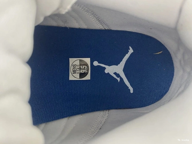 Reps TBK 13 Air Jordan Blue 414571-164 French 0722